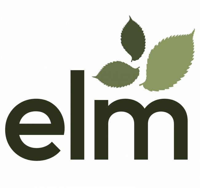 Elm programming language logo with leaves