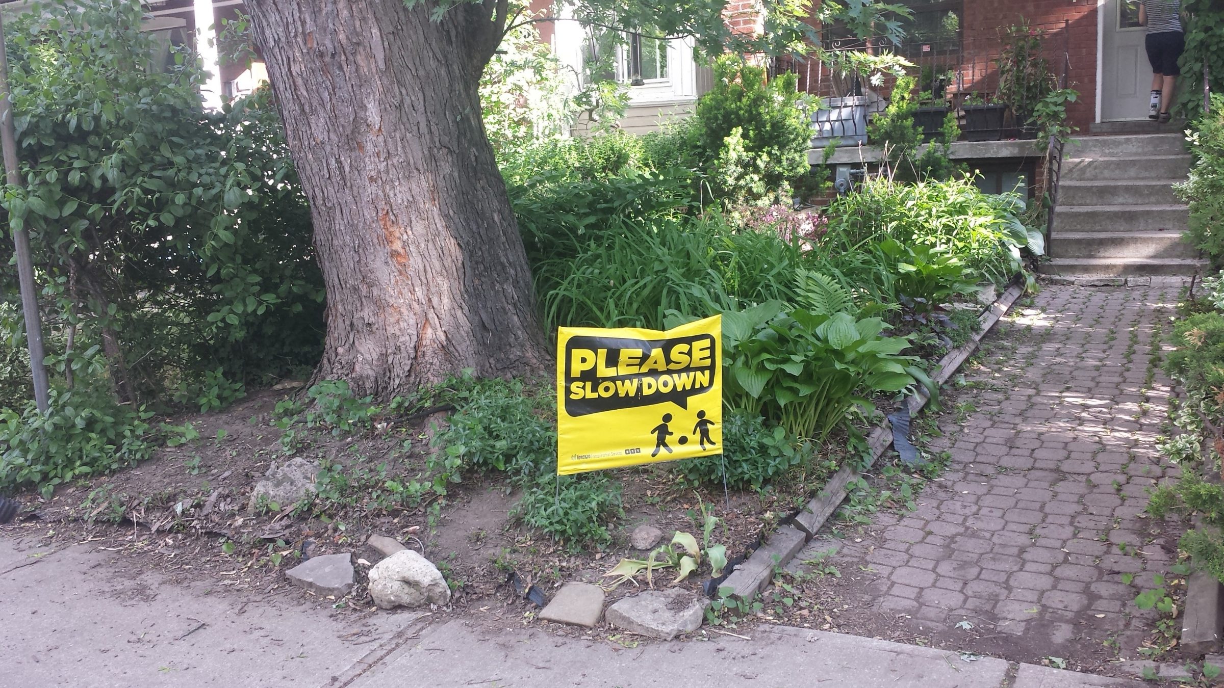 Yellow 'Please Slow Down' sign by sidewalk