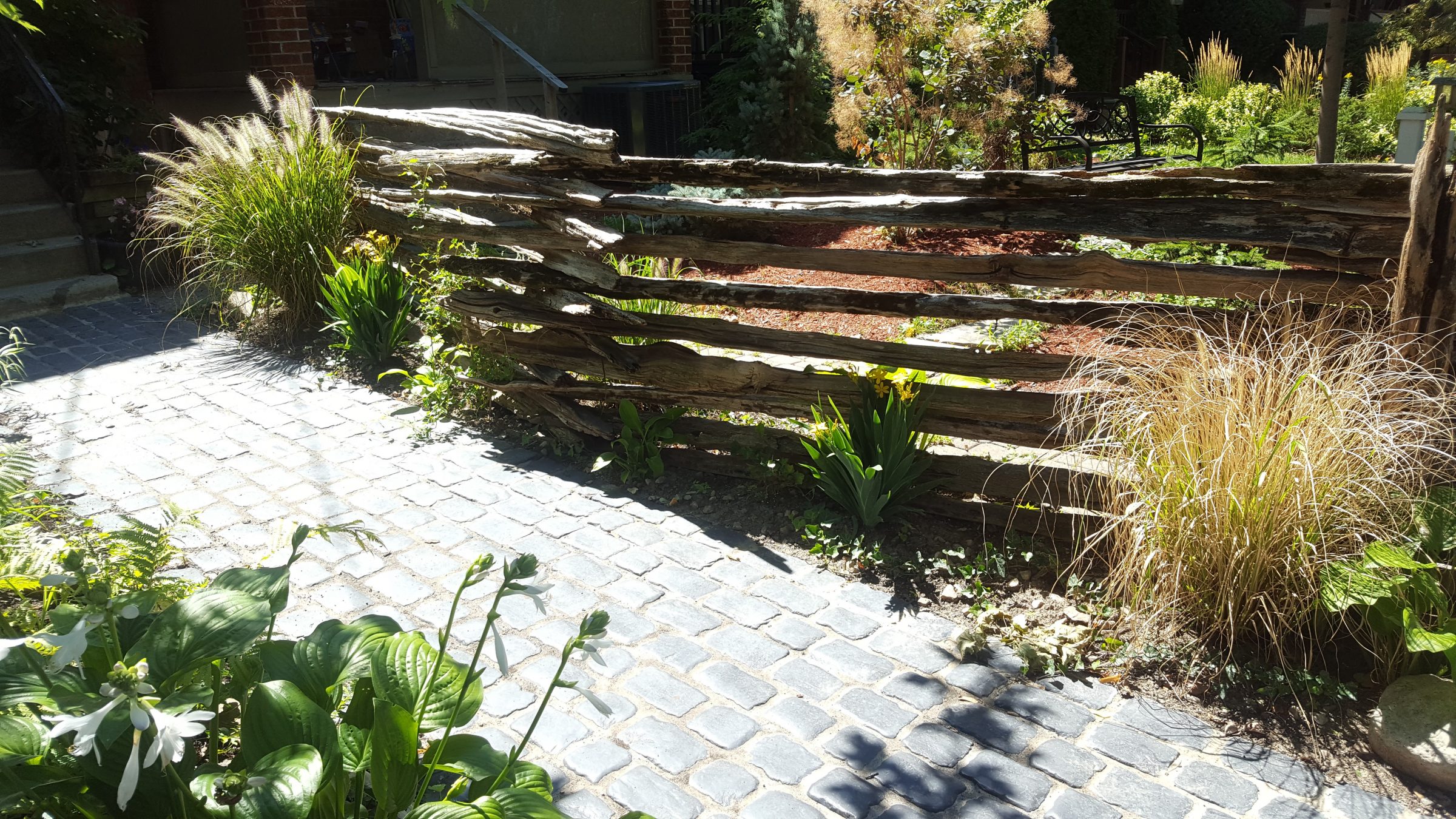 Sunny garden path with rustic wooden fence.