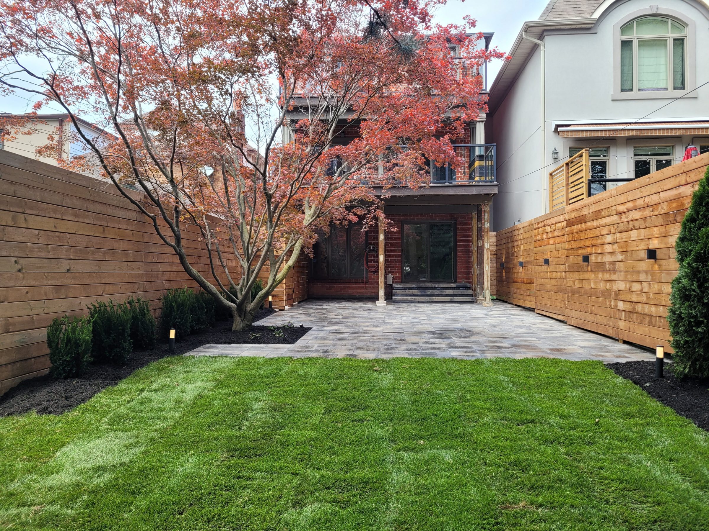 Modern patio with grass and vibrant red tree.