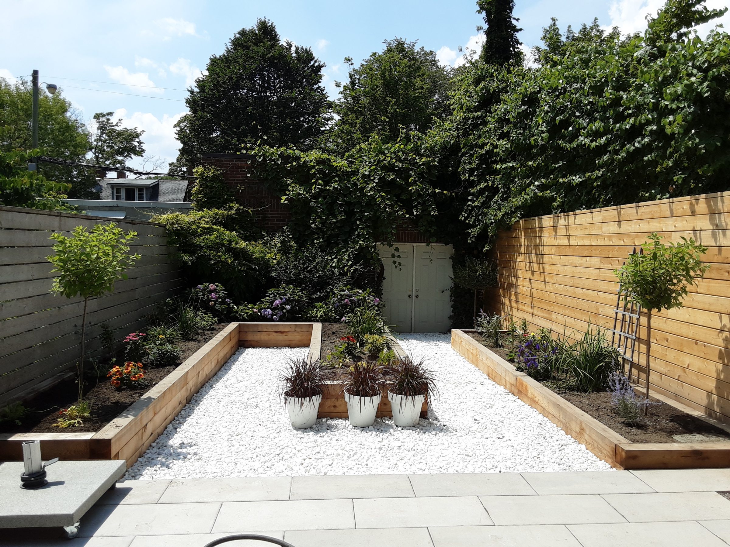 Modern backyard garden with wooden fence and walkway.