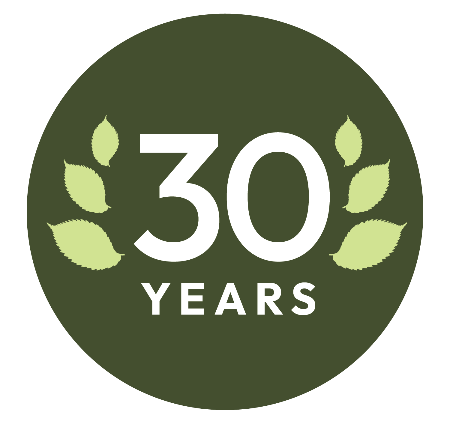 30 years anniversary with leaf decoration