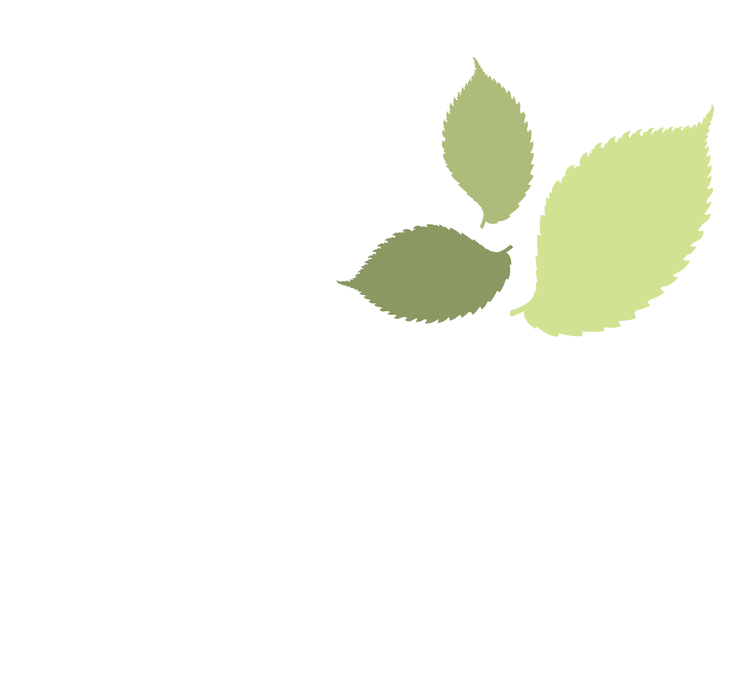 Elm logo with green leaves design