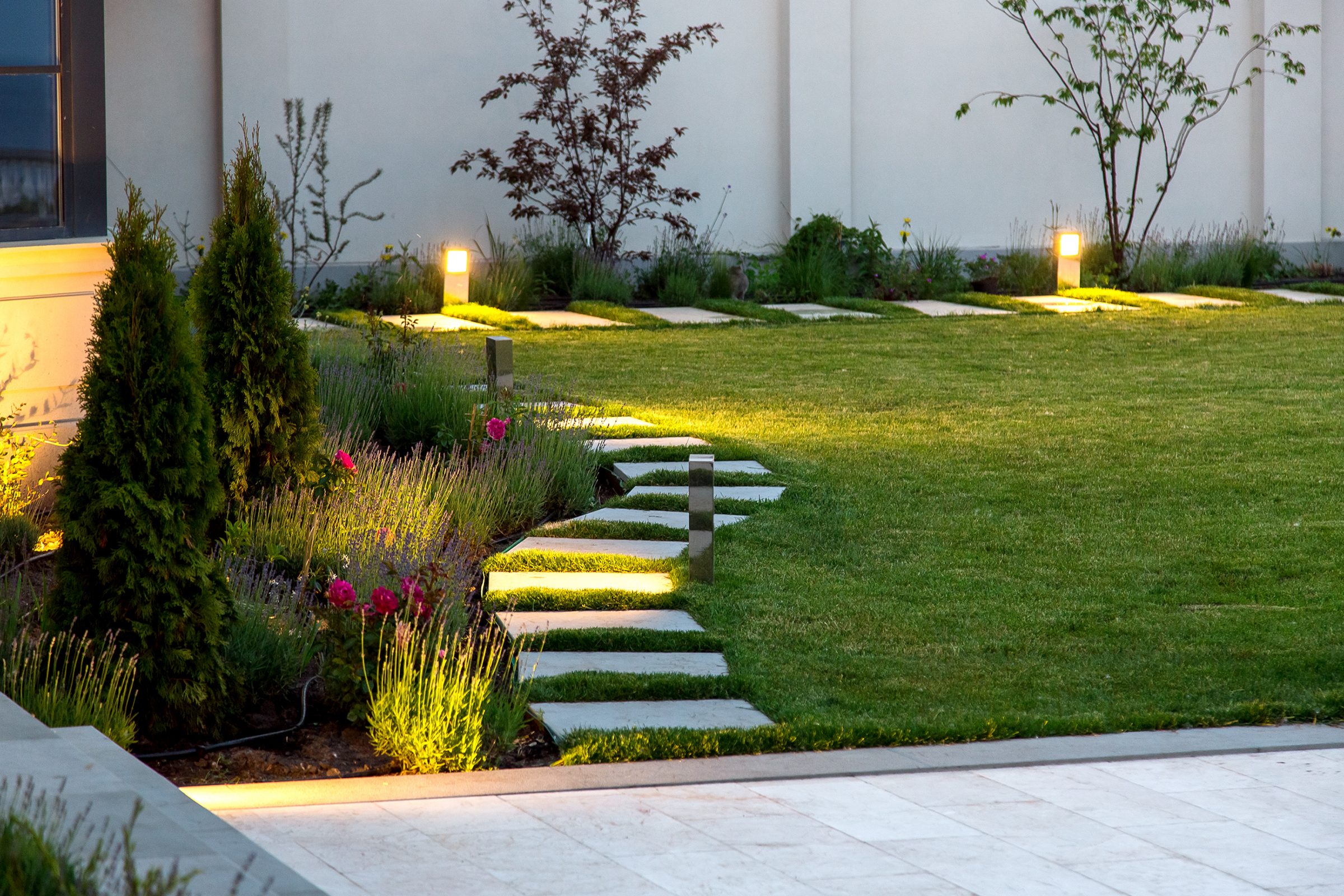 Illuminated garden path with greenery and flowers.