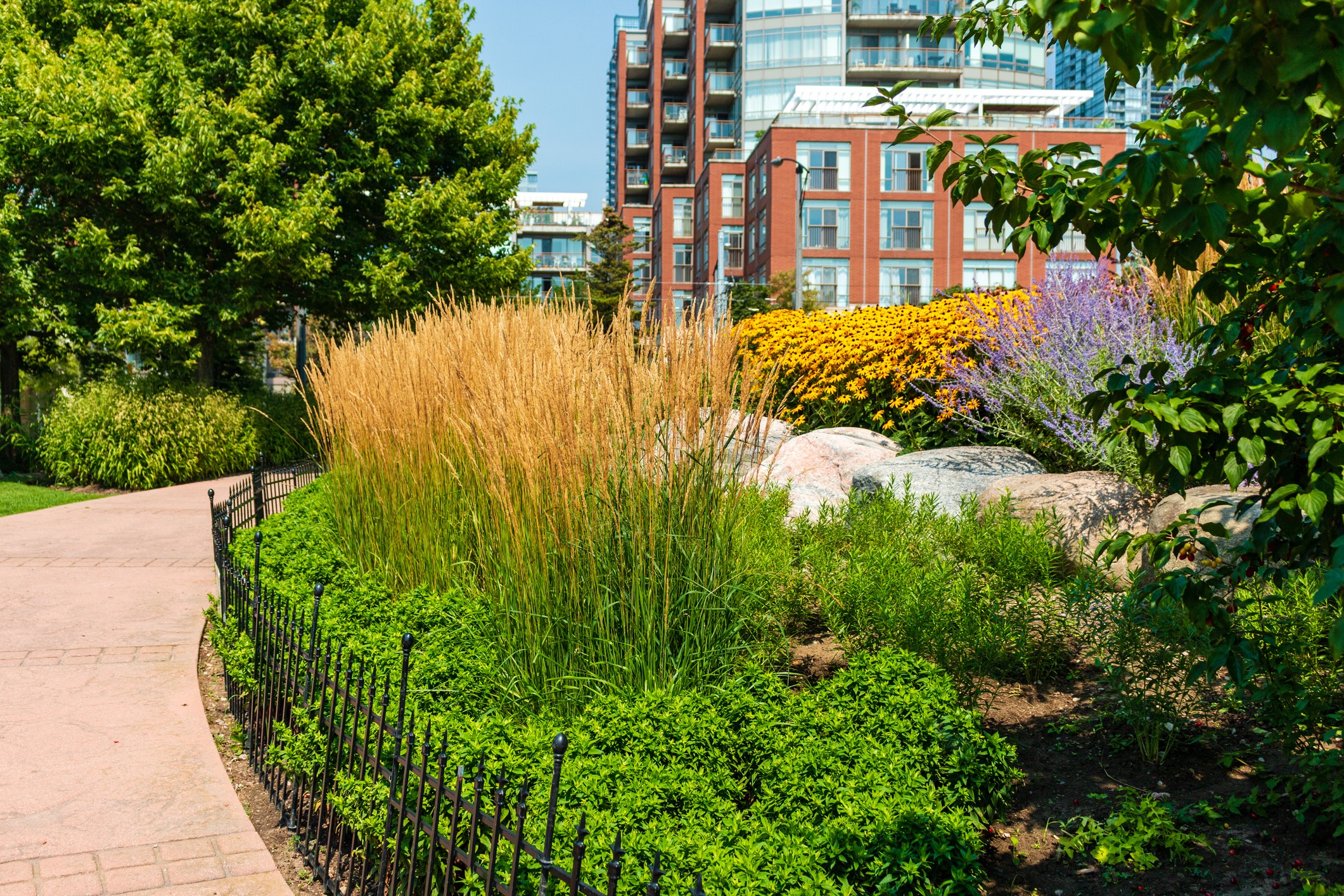Urban garden with plants and flowers, city buildings backdrop.