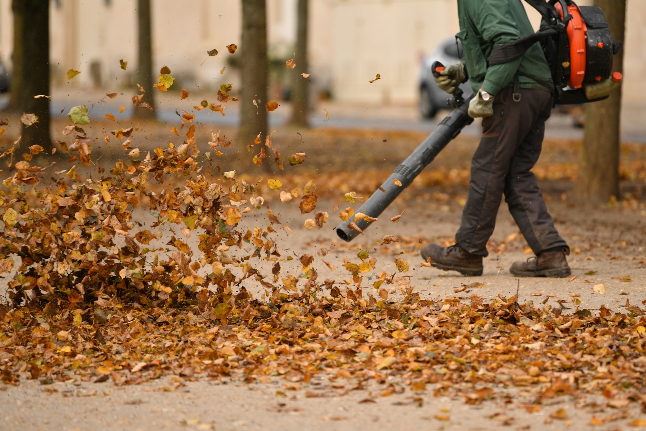 Person using leaf blower on fallen leaves