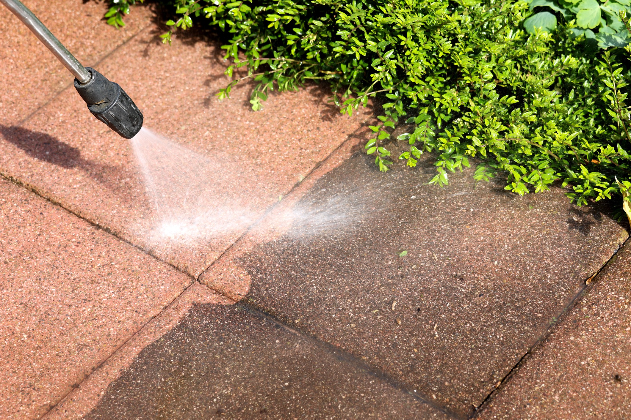 Pressure washing a patio near green plants.