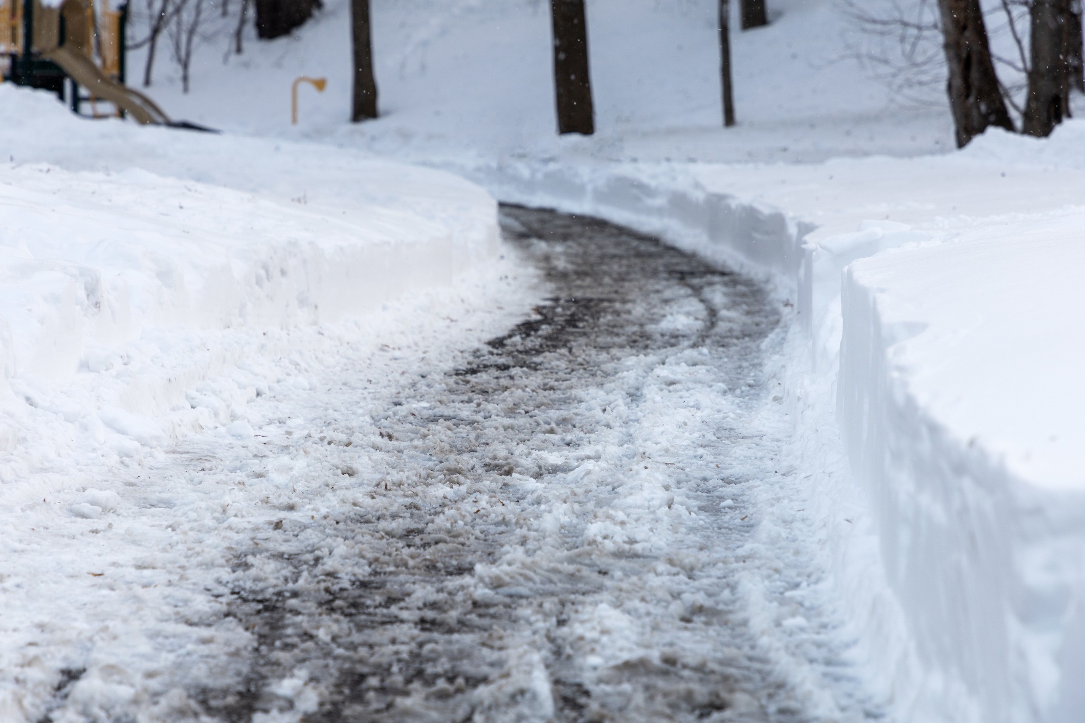 Snowy path in a winter forest scene.