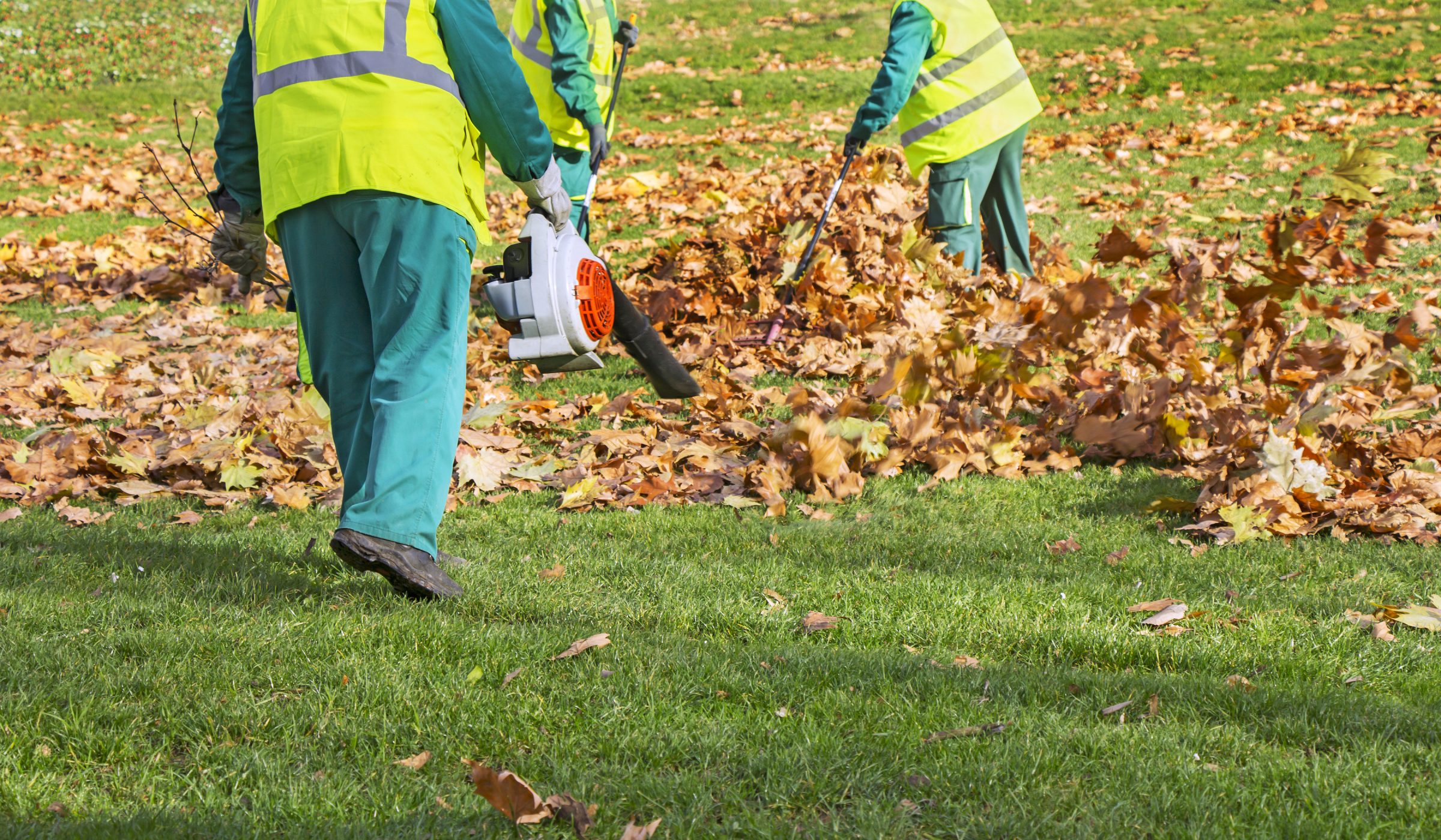 Workers raking leaves in a park